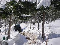 Winter - Clearing The Path